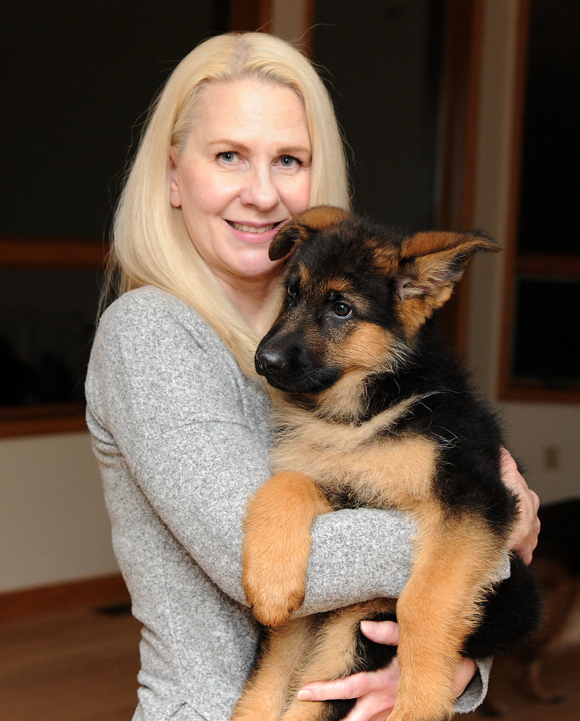 20 Questions You Need To Have To Ask About German Shepherd Puppies Bef